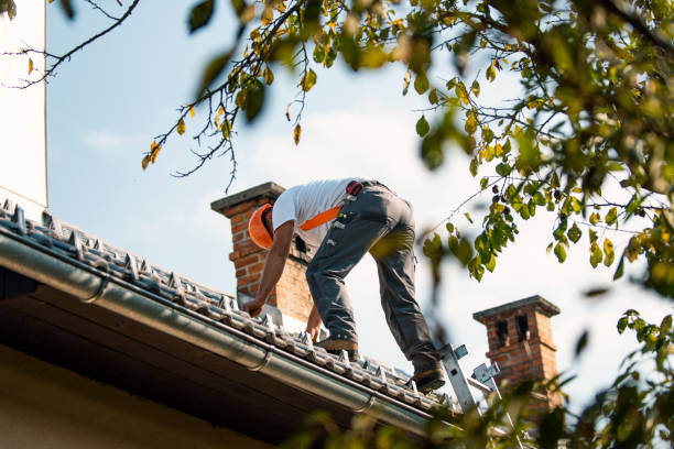Best Commercial Roofing Services  in Brewster, OH